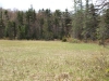 Small wetland northeast of Sunshine Pond